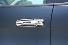 407009 Door Harley-davidson 49892 Putco Handle