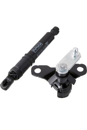 Fl3z-99406a10-a Ford Tailgate Shock Assembly