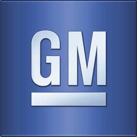 19417381 Gm Genuine Bed Mat By Bedrugandtrade