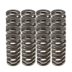 Pac-1233 Pac Racing Springs 1.025 Valve - Ovate Beehive 16