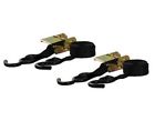 83009 Strap Curt Cargo Ratchet Coated Length Nylon Rubber 10ft Straps -hooks