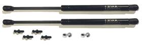 Truck Upfitters 709832096730 2 Pcs Gas Struts 20 Inch 100 Lbs Pressure Each Lift Support