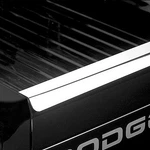 Ford F-150 2004-2008 Putco 52619P Tailgate Guard. Fixed Price $140.80.