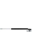 Strong Arm 4914 Hood Lift Support For 89-94 Nissan Maxima. Fixed Price $37.72.