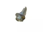 Genuine Ford Bolt N803023-S437. Fixed Price $19.00.