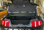 Envelope Vertical Style Web Trunk Cargo Net Ford Mustang 2005-2014 Brand New. Fixed Price $16.95.