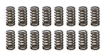 Racing Springs 1.025 Valve Ovate Beehive PAC-1233-16. Fixed Price $241.38.