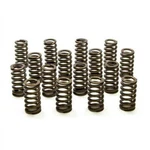 Racing PAC-1233-16 1.025 Valve Springs Ovate Beehive (16). Fixed Price $227.40.
