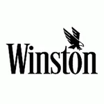 Winston Products WNP3021 12IN 90IN Aluminum Fixed Scurve Ramp W/ Treads 15. Fixed Price $284.47.