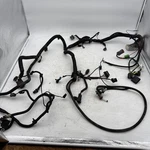 2001 C5 Corvette Oem Front Headlight Wiring Harness (w/fog Lights Option). Fixed Price $145.00.