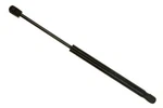 Lift Support Sachs SG359024. Fixed Price $18.84.