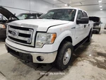 Pickup Box Styleside 5' 6" Fits 09-14 Ford F150 1309121. Fixed Price $600.00.