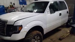 Driver Left Front Door Glass Fits 04-14 Ford F150 Pickup 10314505. Fixed Price $112.00.