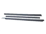 Genuine Mopar Protector Kit 82209285. Fixed Price $156.90.