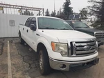 2009-2014 Ford F150 Pickup Box Styleside 6' 6" Bed/ W/o Lip Moulding. Fixed Price $2519.99.