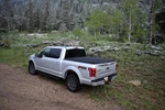 Sawtooth TGS03506 Expandable Tonneau Cover. Fixed Price $466.59.
